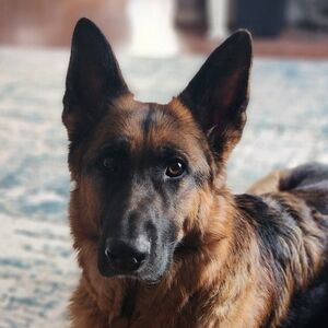 Meet your Posher, Boot n Jeans